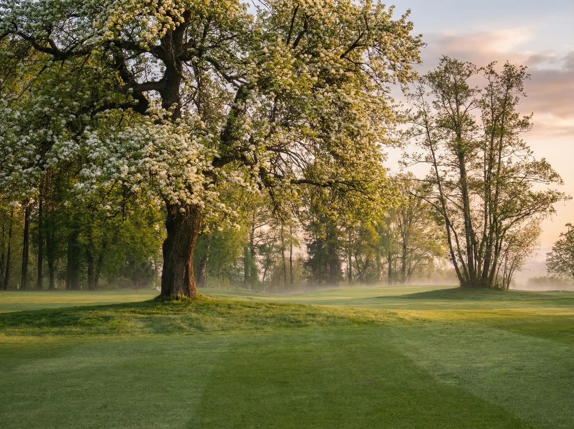 Golfclub Swarco Amstetten-Ferschnitz - Image 2